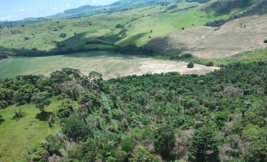 vIAT identificou 478 hectares de área de vegetação danificada por fogo em quatro fazendas de Ribeirão Claro, no Norte Pioneiro
