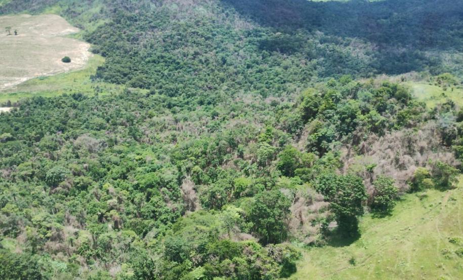vIAT identificou 478 hectares de área de vegetação danificada por fogo em quatro fazendas de Ribeirão Claro, no Norte Pioneiro