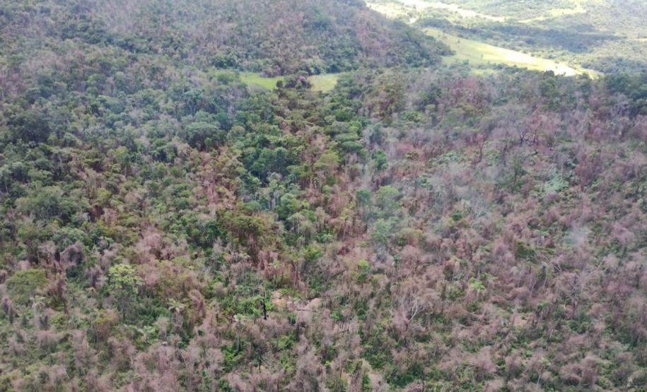 vIAT identificou 478 hectares de área de vegetação danificada por fogo em quatro fazendas de Ribeirão Claro, no Norte Pioneiro