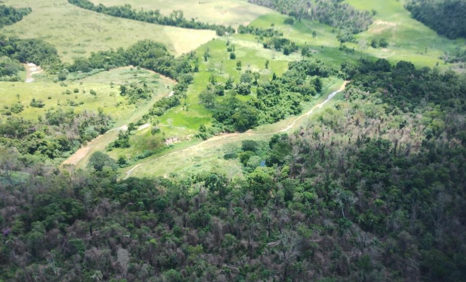 vIAT identificou 478 hectares de área de vegetação danificada por fogo em quatro fazendas de Ribeirão Claro, no Norte Pioneiro