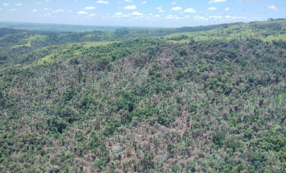 vIAT identificou 478 hectares de área de vegetação danificada por fogo em quatro fazendas de Ribeirão Claro, no Norte Pioneiro