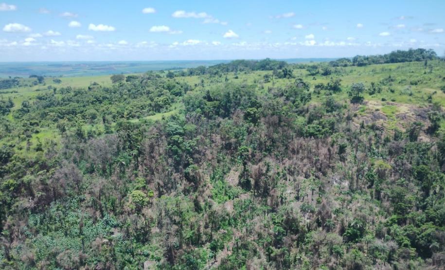 vIAT identificou 478 hectares de área de vegetação danificada por fogo em quatro fazendas de Ribeirão Claro, no Norte Pioneiro