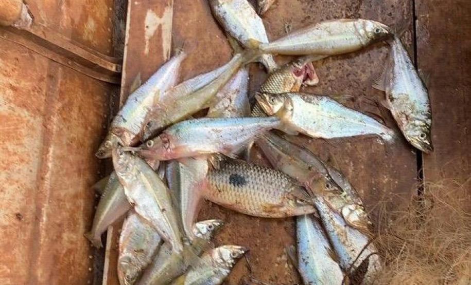 Foto de operação de fiscalização de pesca