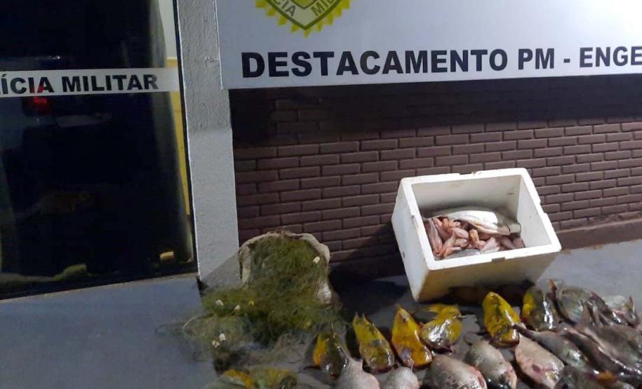 Foto de peixes apreendidos em operação