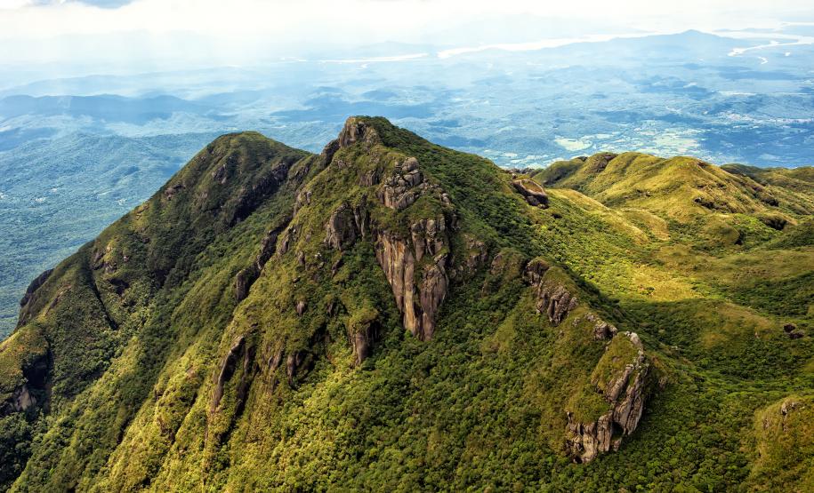 Foto de paisagem verde do Paraná