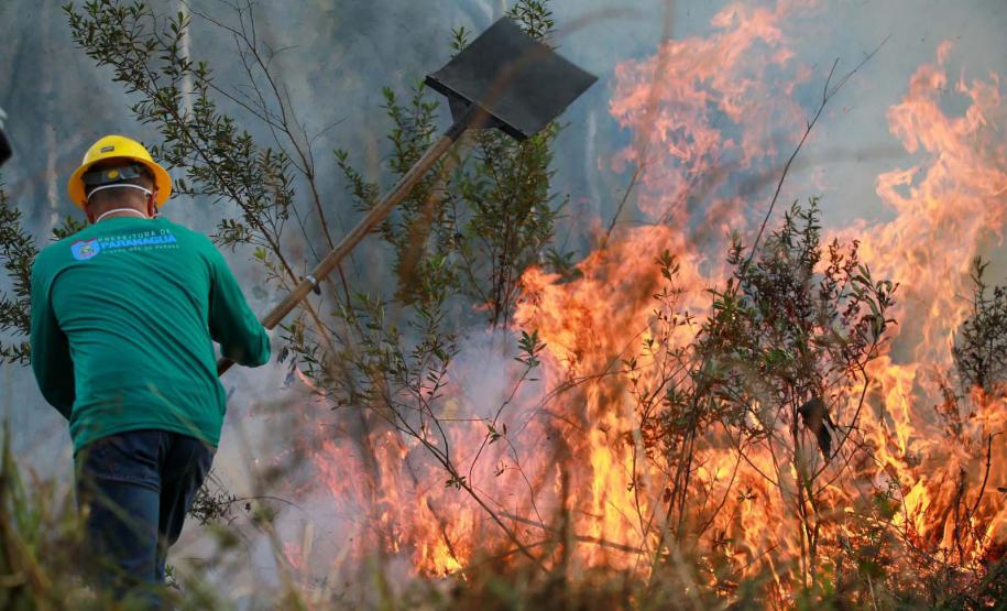 IAT alcança 1.485 voluntários com formação de nova turma de brigadistas