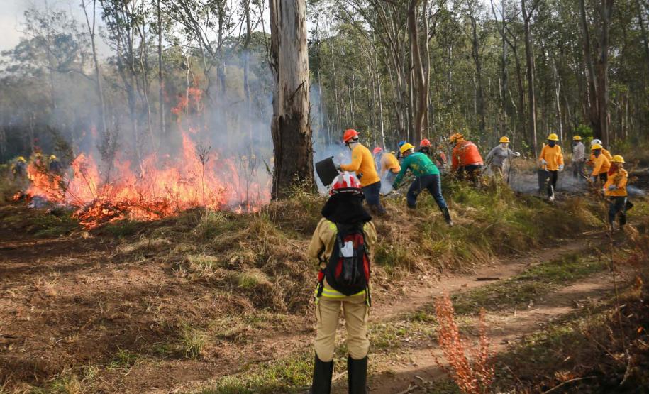 IAT alcança 1.485 voluntários com formação de nova turma de brigadistas