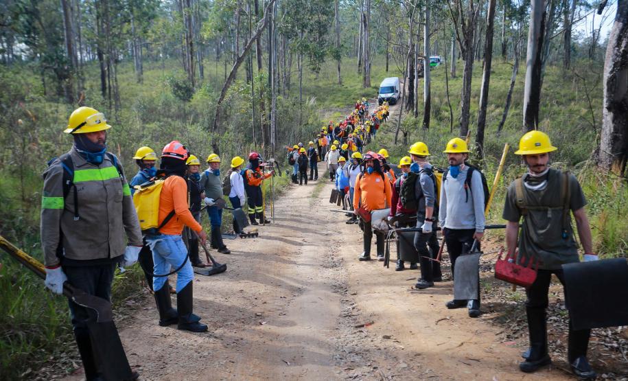IAT alcança 1.485 voluntários com formação de nova turma de brigadistas