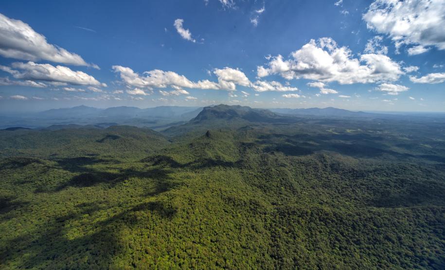 Foto de paisagem verde do Paraná