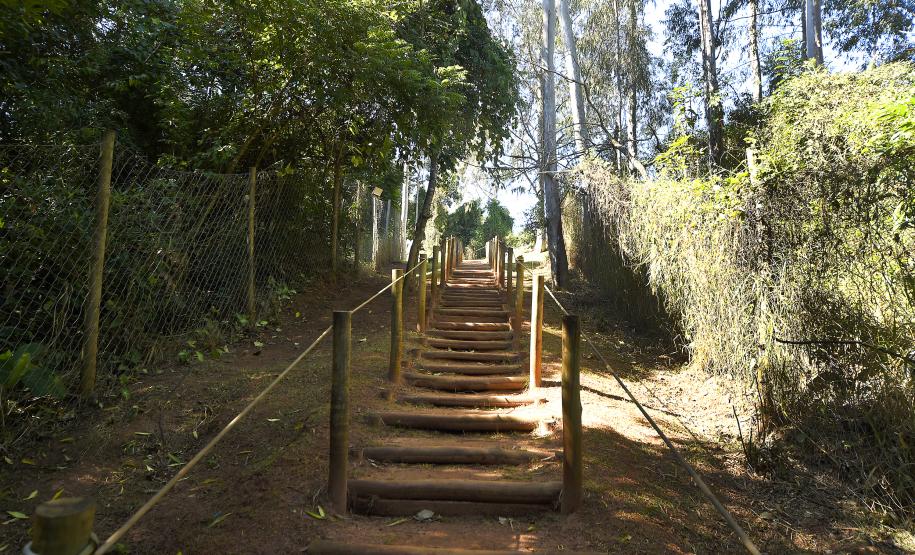 Foto de parque urbano paranaense
