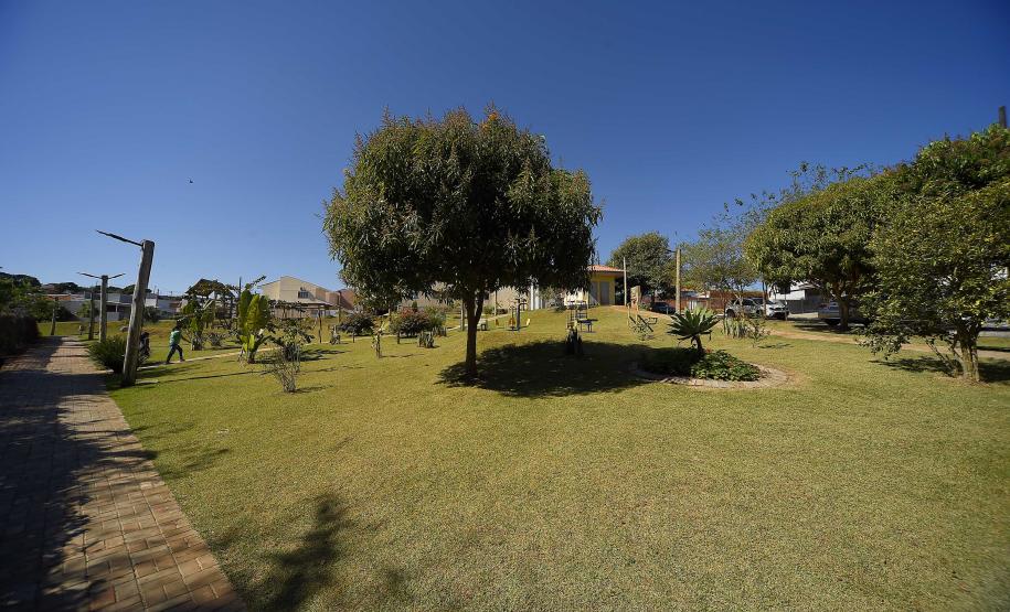 Fotos de árvores e vegetação em ambientes urbanos