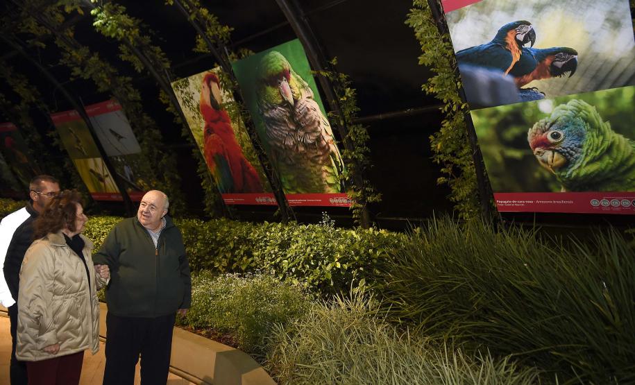 Foto do Secretário Rafael Greca durante exposição