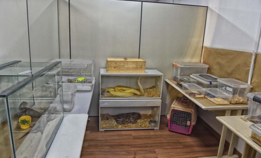 Foto de animais resgatados na sede do IAT