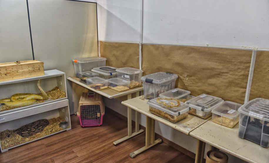 Foto de animais resgatados na sede do IAT