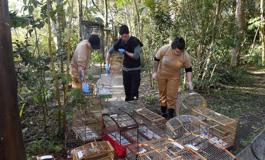 Foto de animais resgatados na sede do IAT