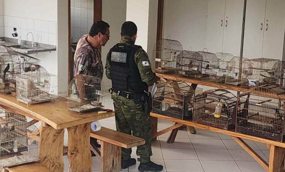 Foto de pássaros apreendidos em operação