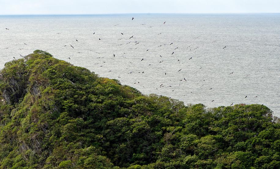 Foto aérea de paisagem natural do Paraná