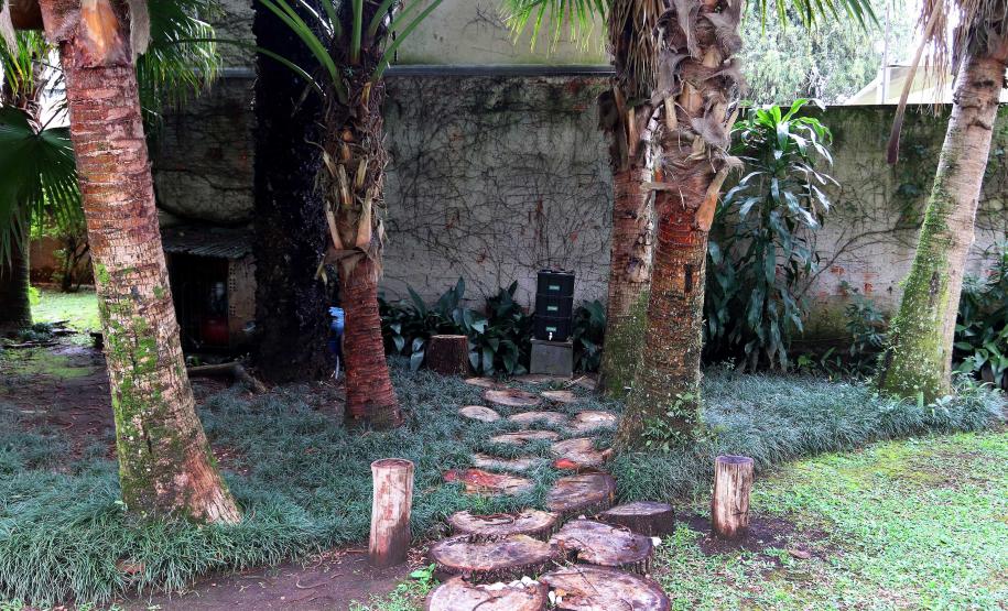 Foto de ambiente do IPPUC