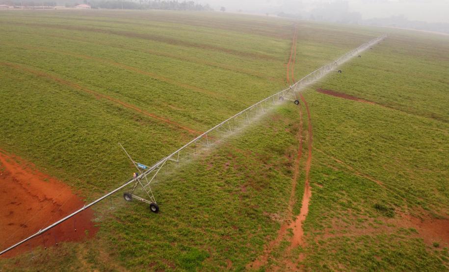 Foto de sistema de irrigação