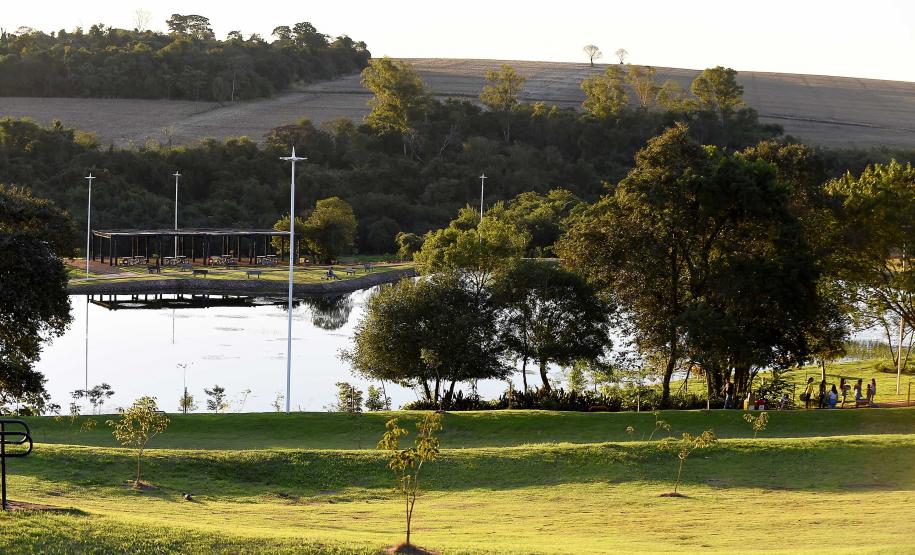 Fotos de árvores e vegetação em ambientes urbanos