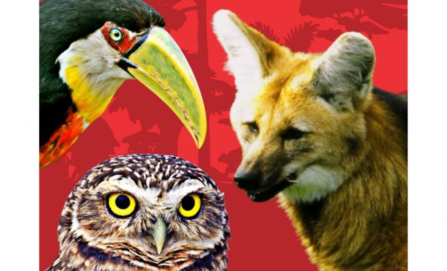 Foto da capa do livro vermelho da fauna do Paraná