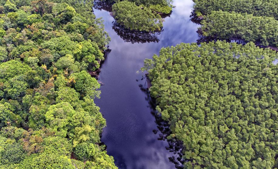 Foto aérea de paisagem natural do Paraná