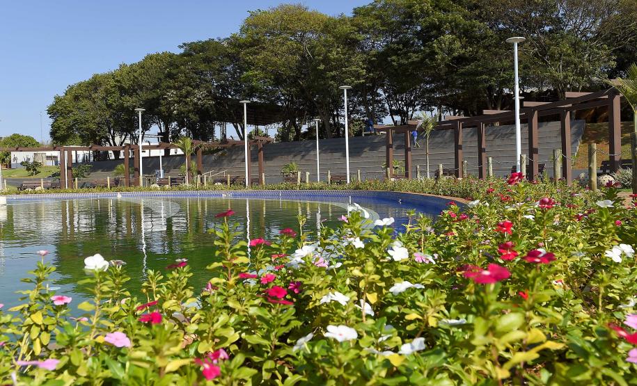 Fotos de árvores e vegetação em ambientes urbanos