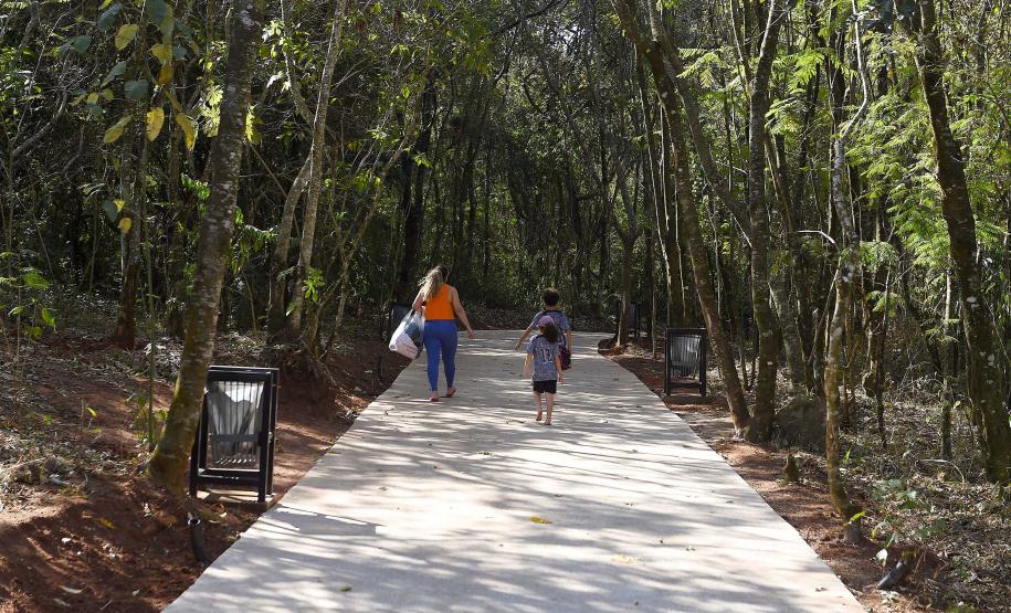 Fotos de árvores e vegetação em ambientes urbanos