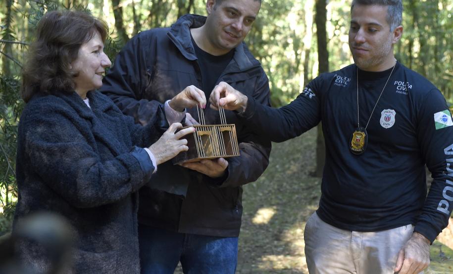 Foto de soltura de pássaros