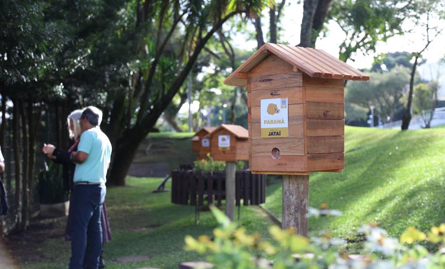 Foto de cerimônia de instalação de novo meliponário