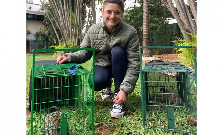 Foto de sagui resgatado