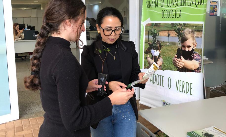 Fotos de eventos de distribuição de mudas Semana do Meio Ambiente