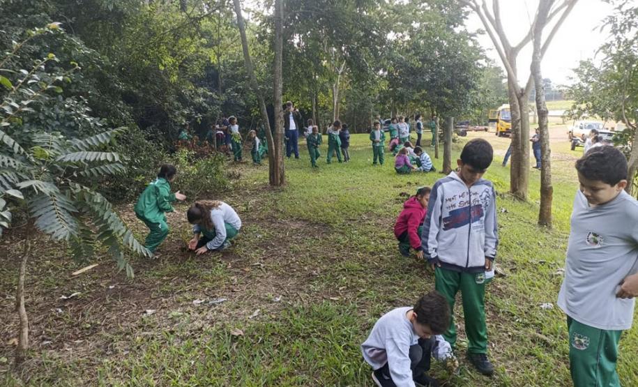 Fotos de eventos de distribuição de mudas Semana do Meio Ambiente