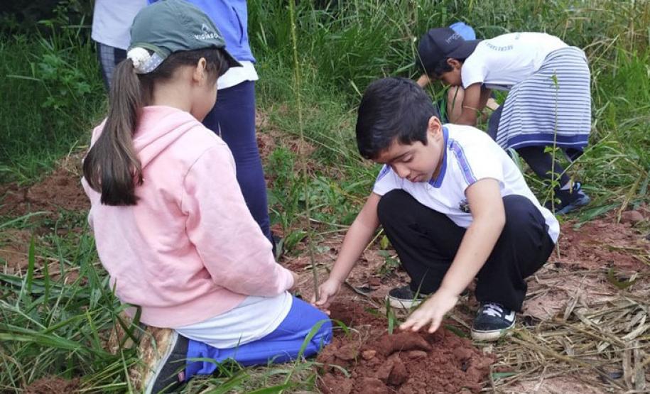 Fotos de eventos de distribuição de mudas Semana do Meio Ambiente