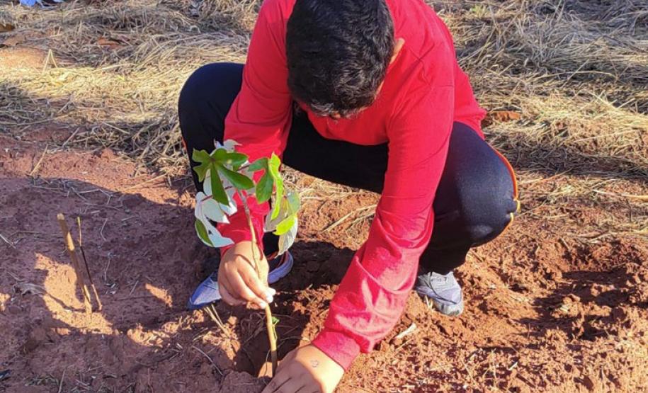 Fotos de eventos de distribuição de mudas Semana do Meio Ambiente