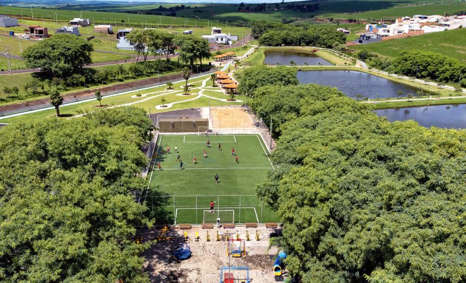 Fotos de árvores e vegetação em ambientes urbanos