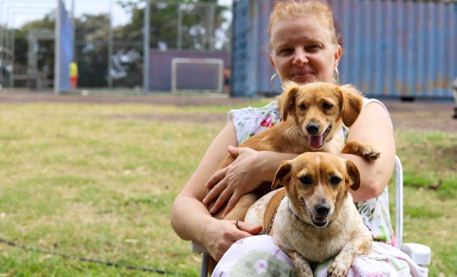 Fotos de animais em ação do Castrapet
