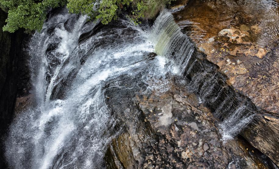 Foto de parque estadual do Paraná