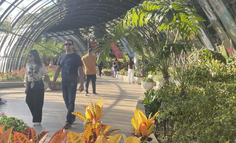Foto de exposição de fauna ameaçada