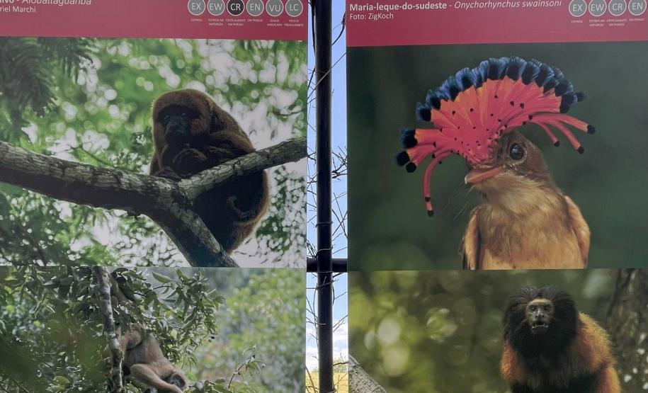 Foto de exposição de fauna ameaçada