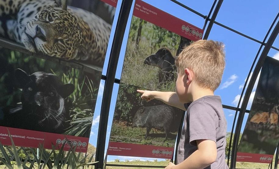 Foto de exposição de fauna ameaçada