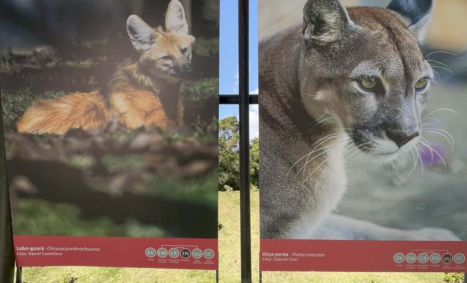Foto de exposição de fauna ameaçada