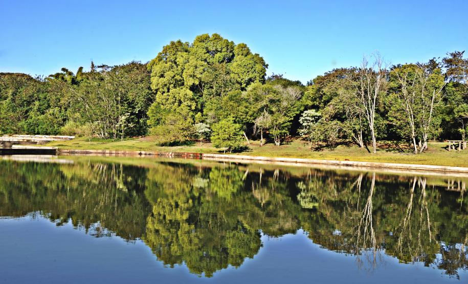 Foto do Jardim Botânico de Londrina