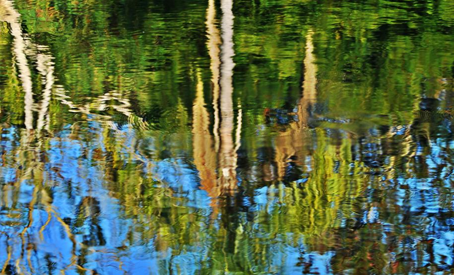 Foto do Jardim Botânico de Londrina