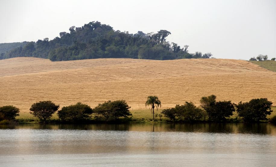 Foto de bacia hidrográfica