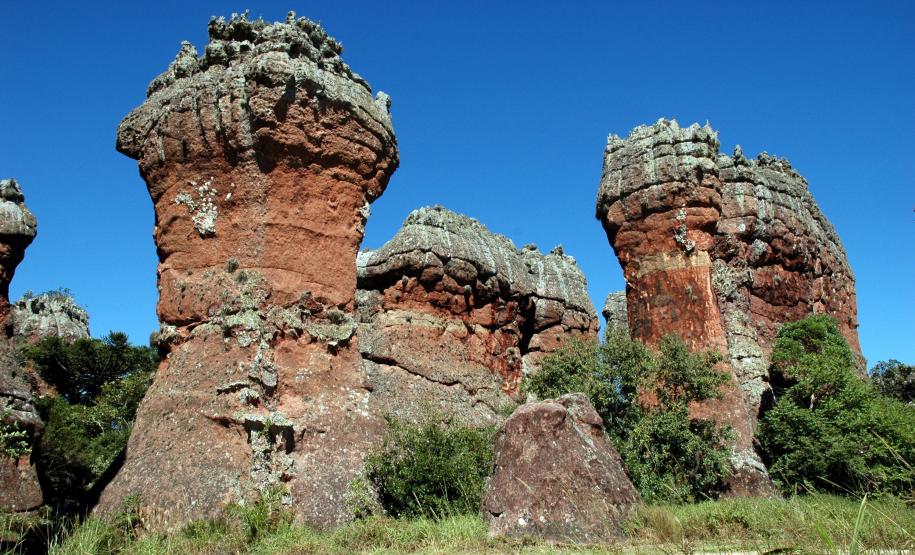 Foto de parque estadual do Paraná