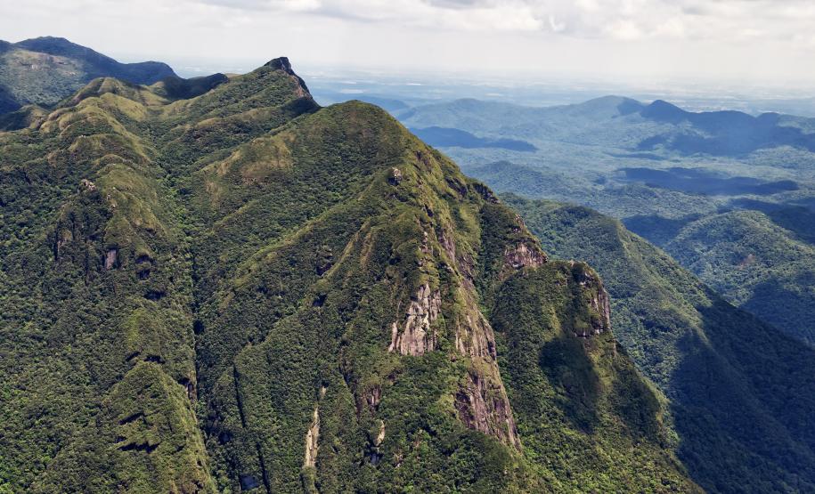 Foto de parque estadual do Paraná