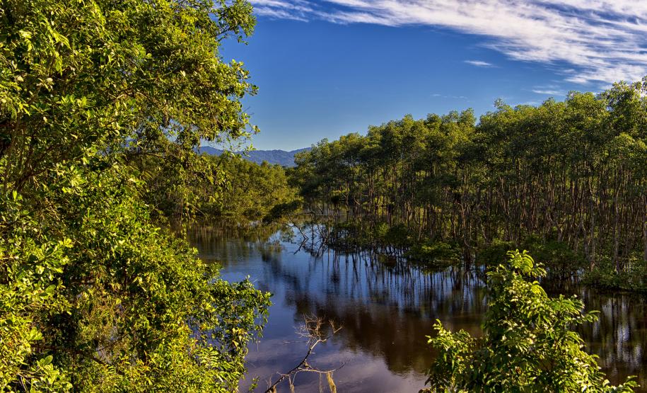 Foto de parque estadual do Paraná