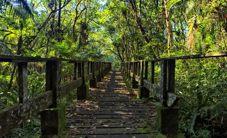 Foto de parque estadual do Paraná