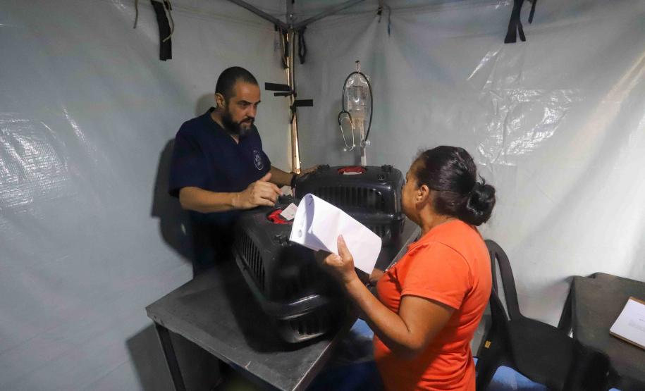 atendimento castrapet paraná